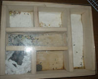 ユウキの地下型巣箱