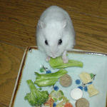 ブロッコリーの茎を食べています