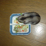 ブロッコリーを食べるユウキ