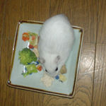 男前豆腐うまっ