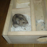 寝室にいるユウキ