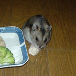 男前豆腐を食らうユウキ