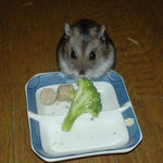 ブロッコリーを食べるユウキ