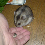 ひま種を受け取るユウキ