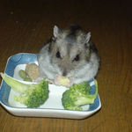 大分目元がすっきりしたような!?