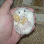 このときばかりは愛嬌がいいです