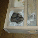 地下室に篭っているユウキ