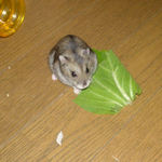 涼しい顔してるけど・・・