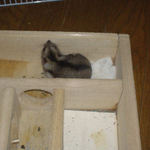 一番奥の部屋に居ました