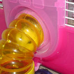 こっちもボーッ