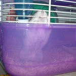 ユウキはケージカジカジ中