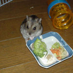 顔を見上げているユウキ