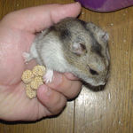 でも、すぐに脱出