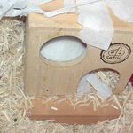 巣箱に戻ってしまったアイ