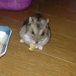 キウイチップを食べているユウキ