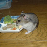 高野豆腐を食べるユウキ