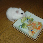 アイもブロッコリー食べてます