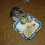 ブロッコリーを食べるユウキ