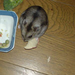 りんごチップを食べるユウキ