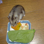 かぼちゃを食べるユウキ