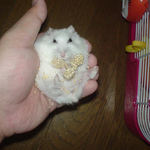 この時期でも毛がふさふさ