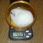 アイも体重増加