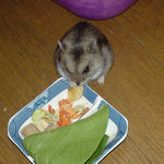 バナナチップを食べるユウキ