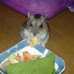 まだまだ食べてます