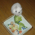 ブロッコリーを食べるアイ