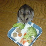 ブロッコリーを食べるユウキ