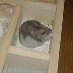 眠そうなユウキ