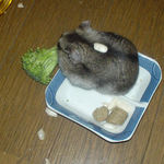 背中に乗せられています