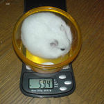 アイも体重増加中