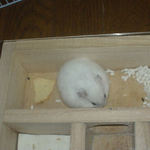 無事にお持ち帰り