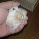 まだまだ夢中です