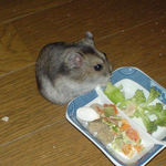 ブロッコリーを食べるユウキ