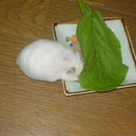 小松菜の下にもぐりこむアイ