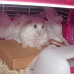 待ったりしているアイ