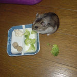 ブロッコリーを食べているユウキ