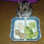 男前豆腐を目にして