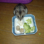 男前豆腐を食べるユウキ