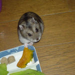 かぼちゃを食べようとしているユウキ