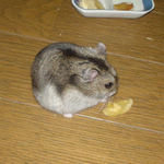 バナナチップを食べるユウキ