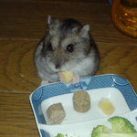 チーズを食べるユウキ