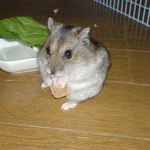 カンテンベジタブルが手に引っ付いてしまいました