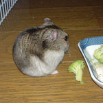 少し哀愁のユウキ