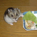 気配が気になった!?