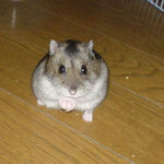 フリーズしたユウキ