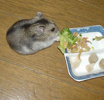 ブロッコリーを食べるユウキ