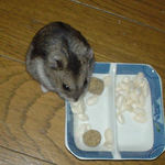 豆腐を食べるユウキ